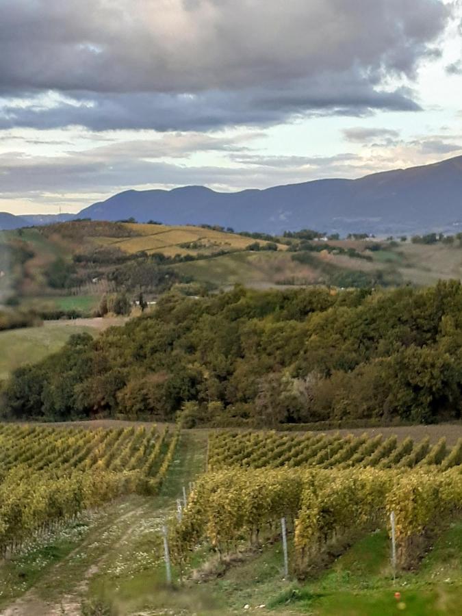 Tenuta Grimaldi Wine Resort Мателика Экстерьер фото