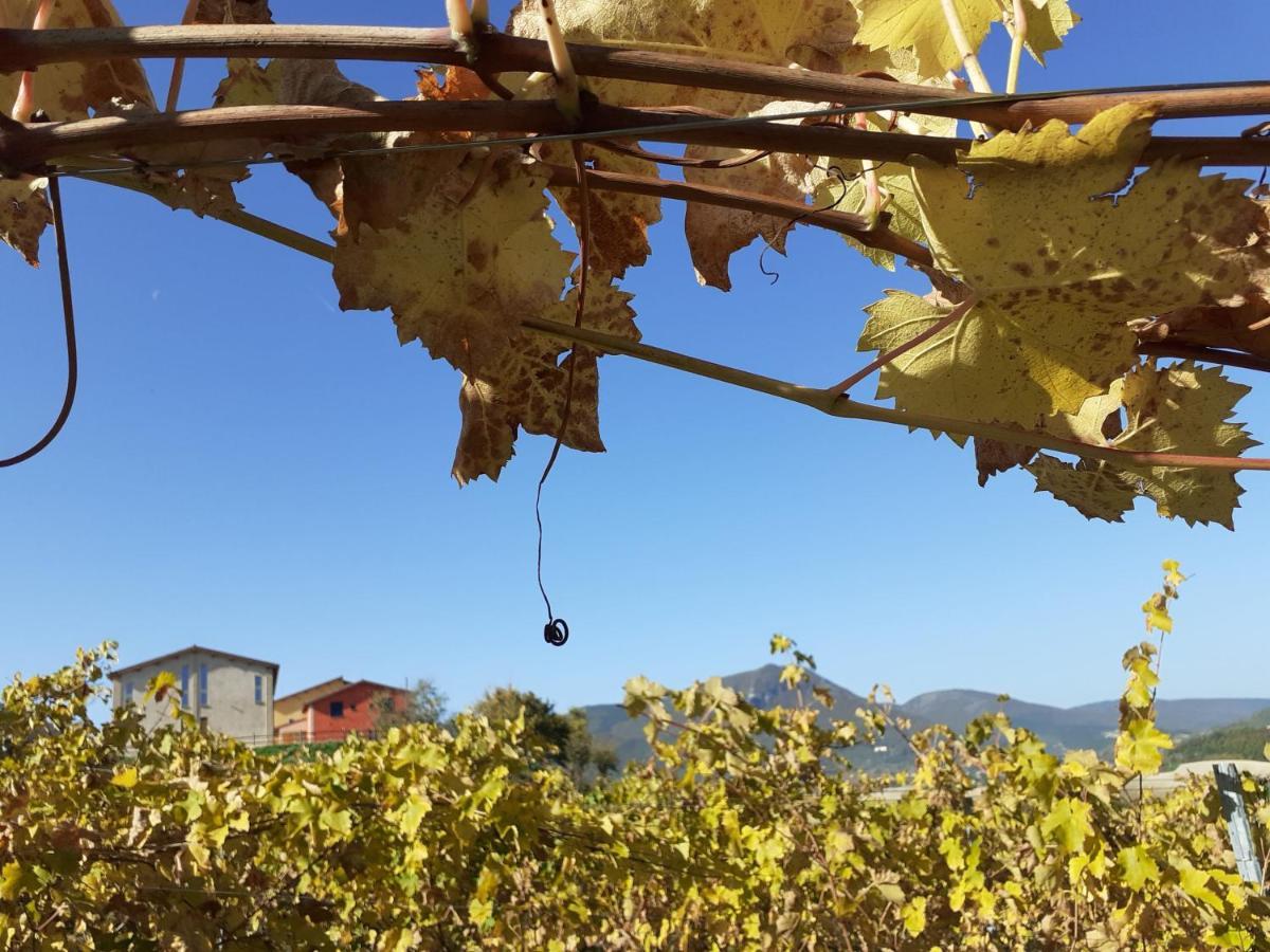 Tenuta Grimaldi Wine Resort Мателика Экстерьер фото