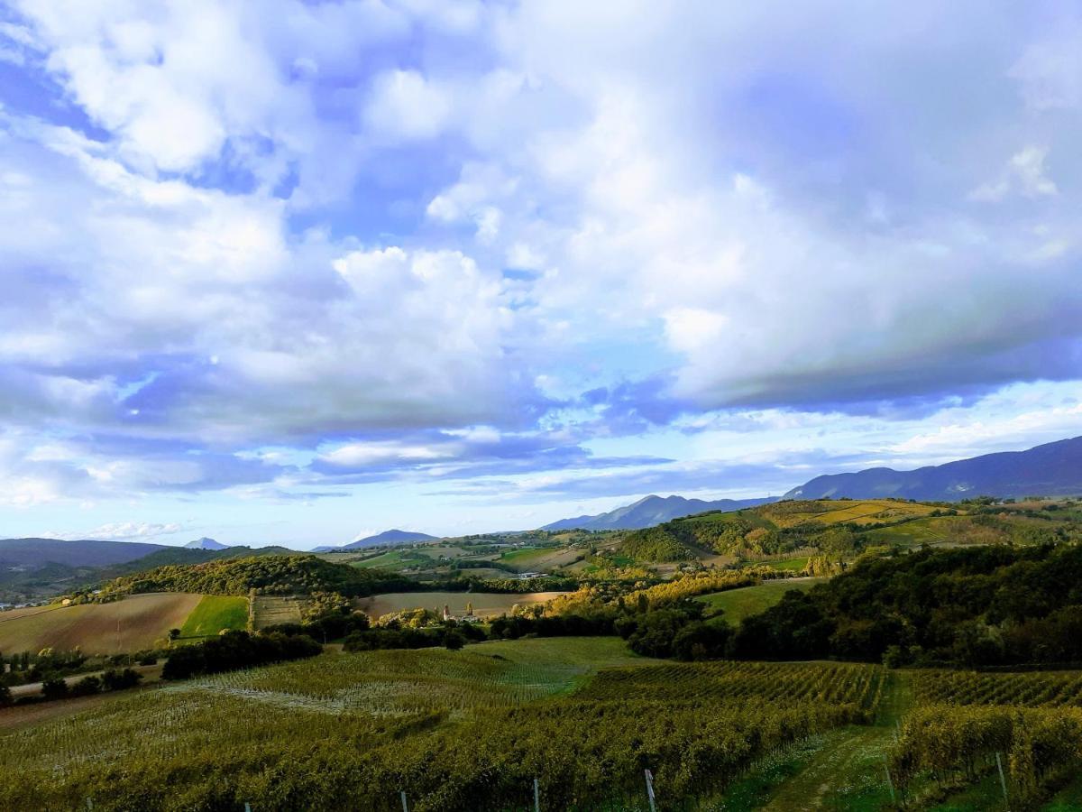 Tenuta Grimaldi Wine Resort Мателика Экстерьер фото